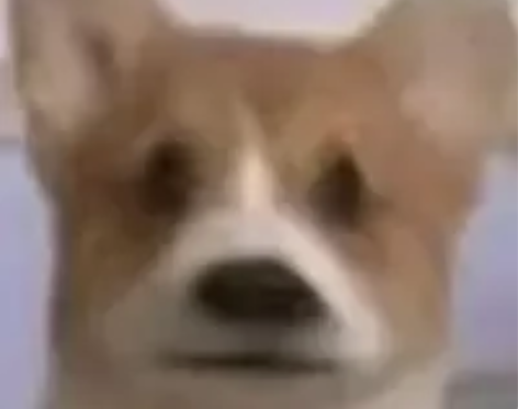 uplay账号 艾吉奥三部曲刺客信条大革命...