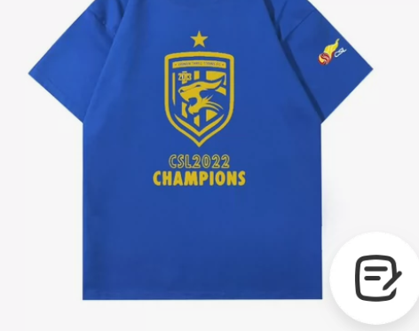 武汉三镇夺冠纪念衫 各尺码大量有货 欢迎下...