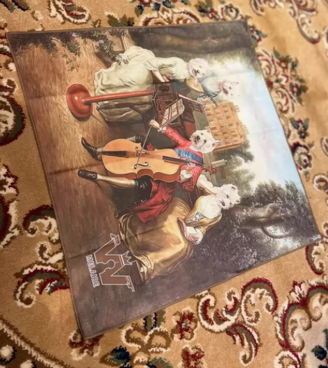 乐器专用擦琴布 小提琴大提琴钢琴长笛单簧管...