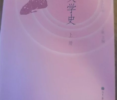 中国新文学史上册高教社，丁帆主编 感兴趣的...