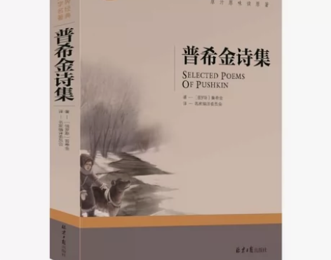 普希金诗集 诗选普希金童话 世界文学名著书...