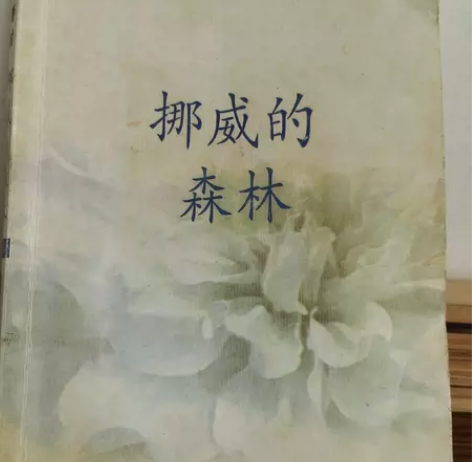 挪威的森林 感兴趣的话点“我想要”和我私聊...