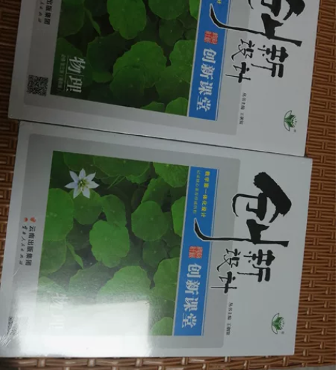 高中全程学习方略.物理:必修.第三册 感兴...