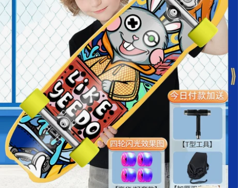 lyl陆地冲浪板滑板初学者成人路冲滑板专