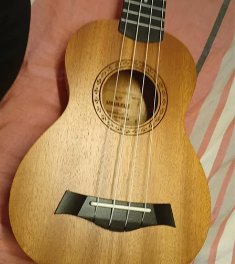 wellburn尤克里里女初学者学生成人男...