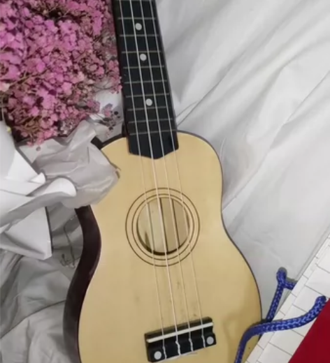 闲置的尤克里里，一时兴起，买来没学过就没有...