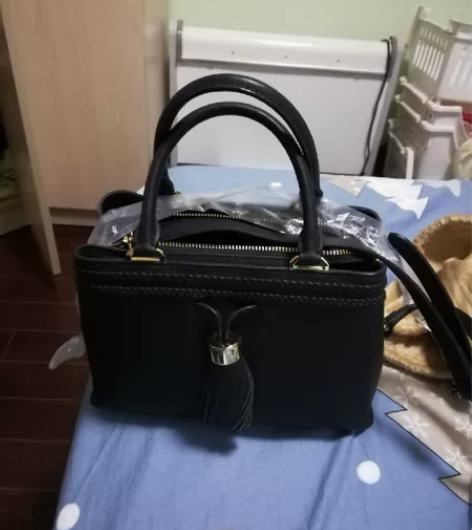 hr赫莲娜背提两用女包全新购于上海置地广场...