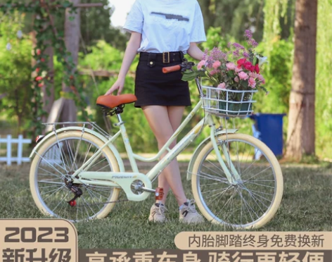 自行车 飞鸽男女款成人学生24/26寸女式