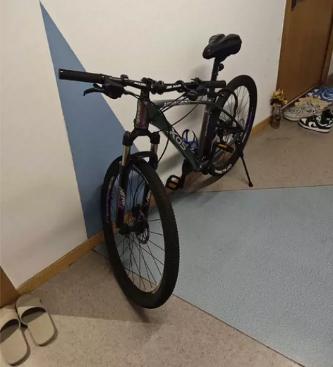 喜德盛山地车 98 新 —英雄 600 2...