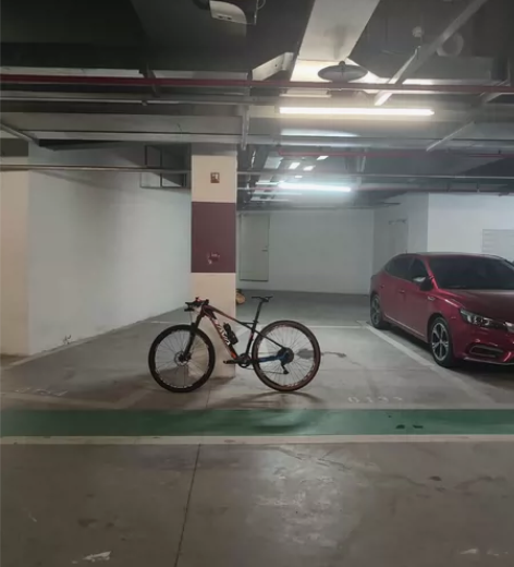 sava队版全碳车架 前27.5后29的1...