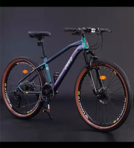 限徐州本地 99新自行车  jeep吉普极...