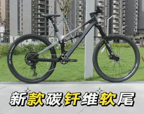JAVA软尾山地车碳纤维12变速碟刹自行车林道赛车佳沃SAL...