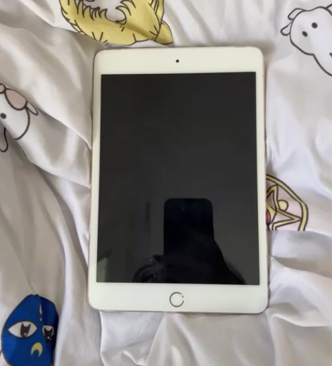 出iPad mini4 32g 感兴趣的话...