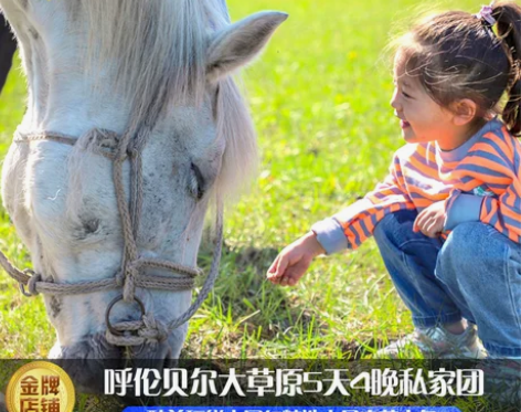 酒店呼伦贝尔旅游内蒙古草原呼伦贝尔海拉尔满...