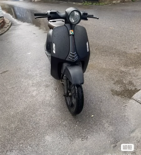 踏板摩托车，国产的那个维斯帕罗马假日，金浪...