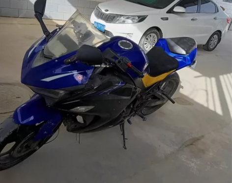 900块钱力帆19年的小忍者R3发动机嘎嘎...