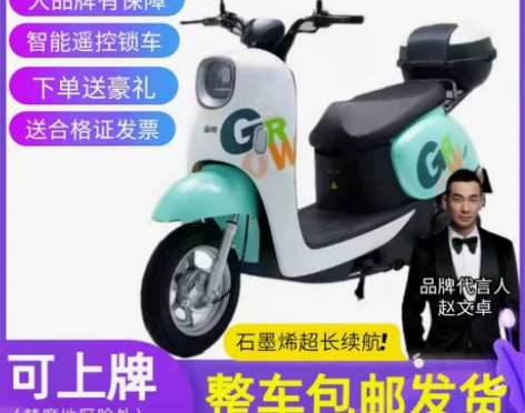 金箭新国标电动车小龟王踏板摩托小绵羊电瓶车...