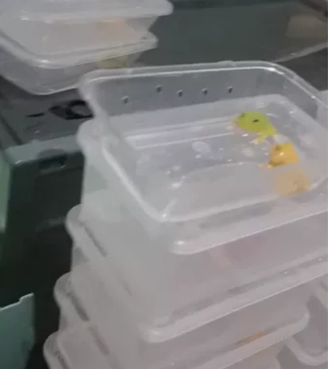 角蛙宇治皮卡丘4.5厘米还有南瓜火龙3厘米...