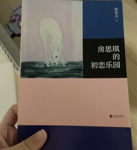书籍 房思琪和平凡的世界 《房思琪的初恋乐...