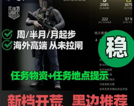 逃离塔科夫 周-月起 陪玩卢布 3x4 塔...