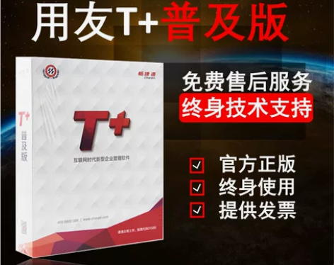 用友T+普及版，T+online，进销存财...