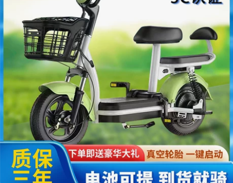 电动车 电动新国标自行车成人小型新款二轮电...
