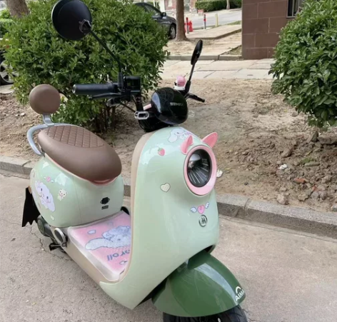 毕业低价转让二手电动车闲置转让，新国标电动...