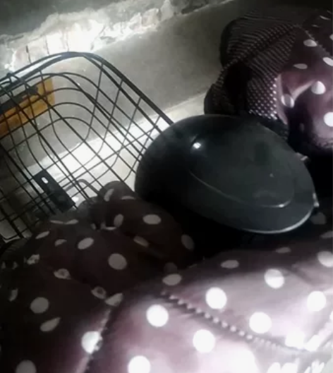 不能上白牌！不能上白牌！请先看清楚，谢谢。...