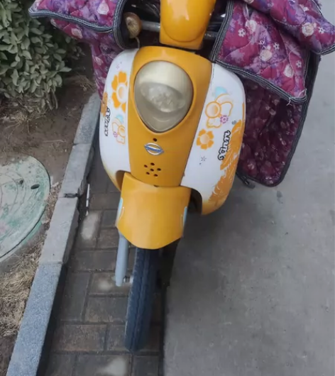 新日小龟王电动车，48v12a铅酸电池，电...