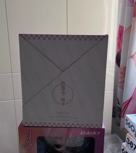 native 西园寺抚子 带特典明信片 全...