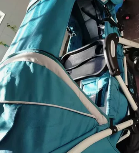 双胞胎婴儿车，洗干净的！在石龙西湖公园，周边可以送货加运费 ...