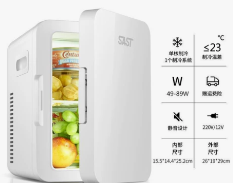 SAST车载迷你小冰箱mini宿舍出租房小...