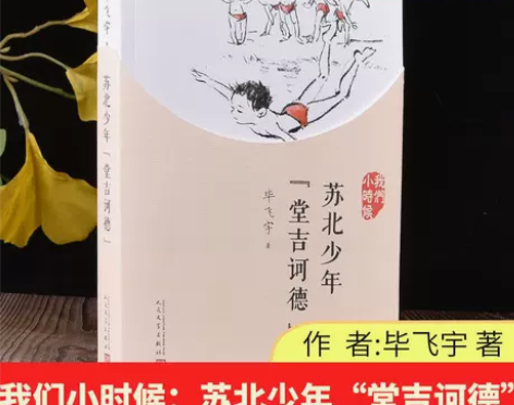 【正版现货】苏北少年堂吉诃德我们小时候毕飞...